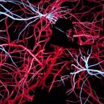 https://www.mapesdecolors.cat/wp-content/uploads/2022/11/Captura-de-pantalla-2022-12-14-a-las-17.42.02.jpg