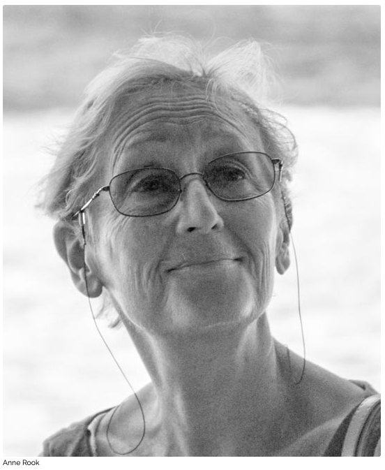 Anne Rook